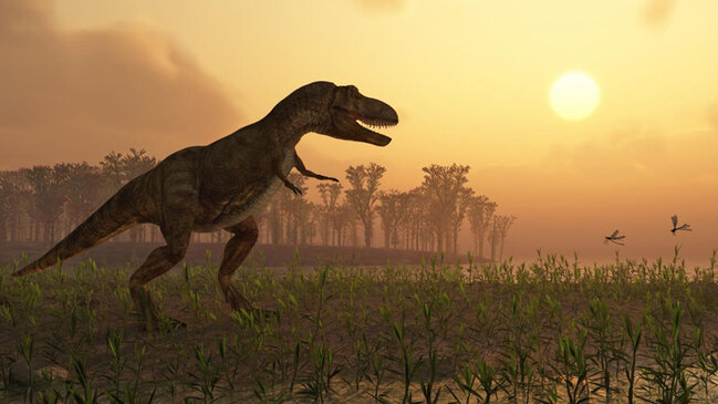 80 milyon il əvvəl dinozavrlar sümük infeksiyasından tələf olub (ARAŞDIRMA)