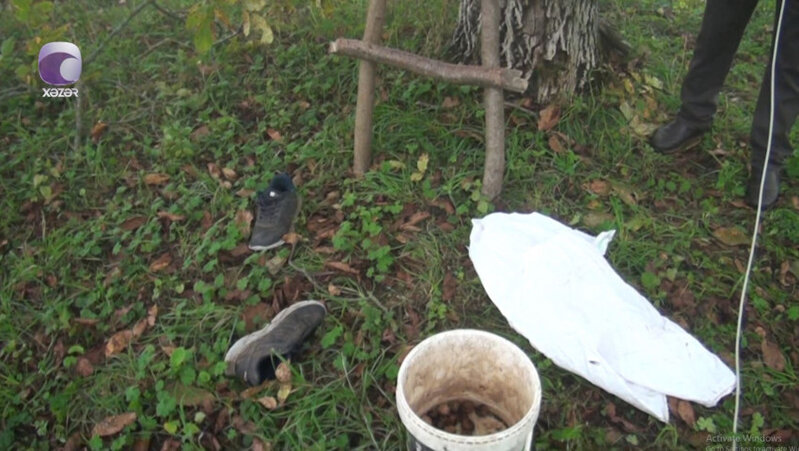 Ağacdan qoz yığmağa getdi, geri qayıtmadı – TƏFƏRRÜATLAR - VİDEO