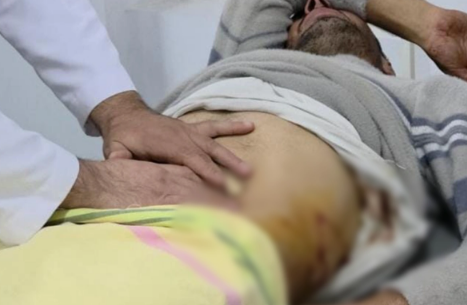 Qubada ayı hücumu olub, xəsarət alan var