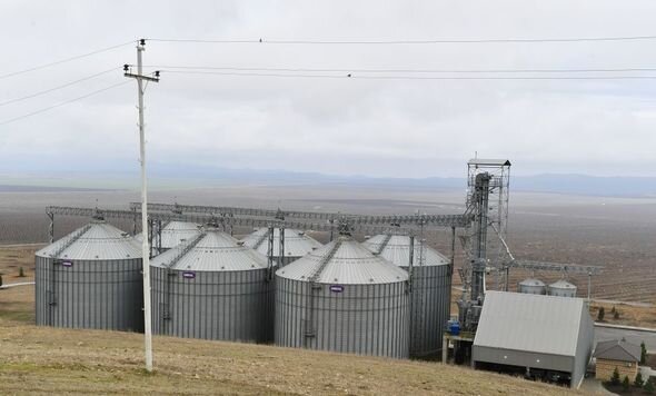 İlham Əliyev "Şəki-Oğuz" Aqroparkında yaradılan şəraitlə tanış olub - YENİLƏNİB + FOTO