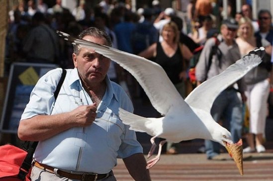 İnternet tarixinin ən komik FOTOLARI