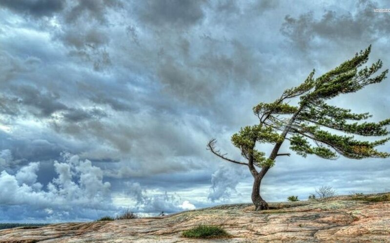 Küləkli hava şəraiti ilə bağlı sarı və narıncı xəbərdarlıq verilib