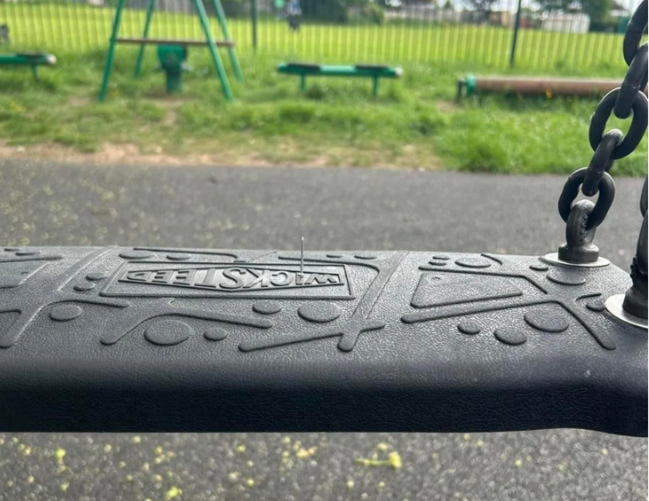 Parkdakı görüntülər QORXU YARATDI: Uşaqları təhlükə gözləyir - FOTOLAR