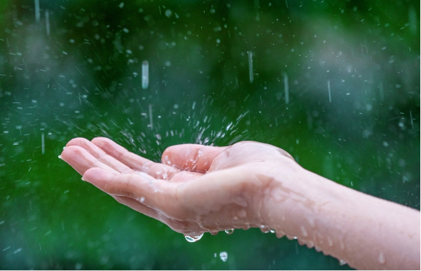 Yağışla gələn təhlükə: Bitkiləri öldürür, insan qanında toplanır - Alimlər həyəcan təbili çalırlar