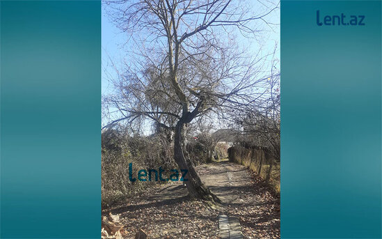 Çarın qorxulu yuxusu, sultanı devirmək istəyən kürdəmirli baş nazir - TARİX