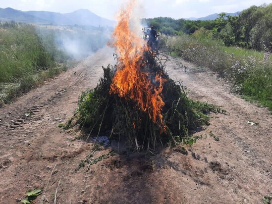 Azad edilən ərazilərdə aşkarlanan silah-sursatın sayı açıqlanıb-FOTO