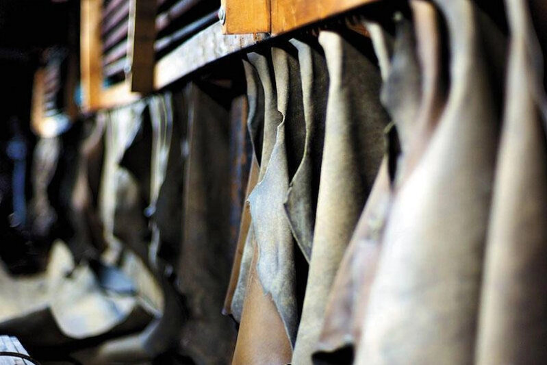 Azərbaycan dəri istehsalını 51 %-dən çox artırıb