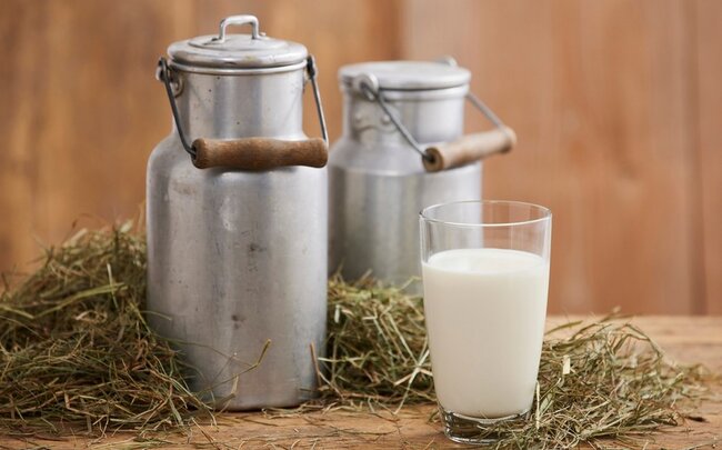 Azərbaycan süd və qaymaq idxalını 22 %-ə yaxın artırıb