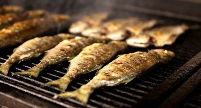 Hansı balıqda sümük daha azdır? - Tanınmış növlər