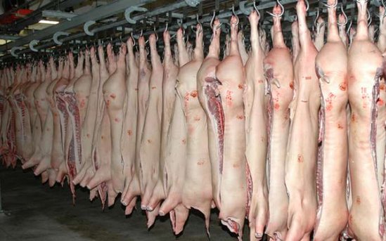 Donuz ətinin zərərləri