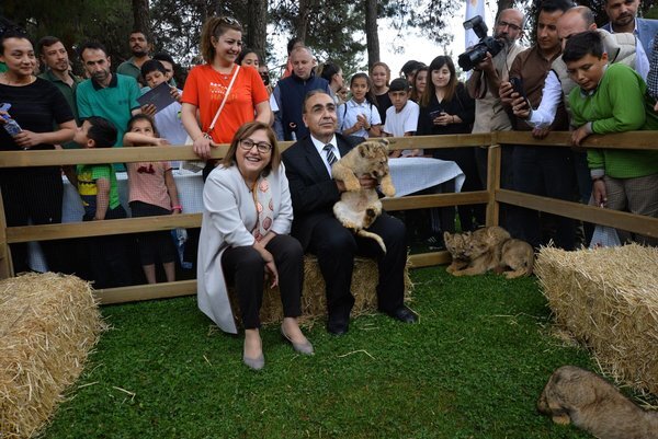 Ərdoğanın aslanı dördəm dünyaya gətirib