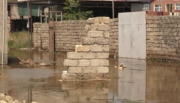 Məmmədlidə evlər hələ də su altındadır: Zəhərli ilanlar peyda olub - VİDEO