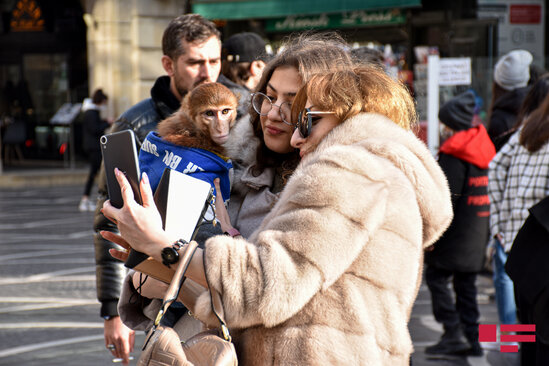 Bakı Yeni İli qeyd edir - FOTOLENT