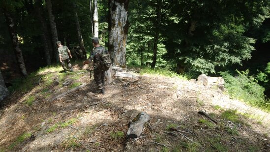 Hindistanlı turistin axtarışları davam etdirilir - Video