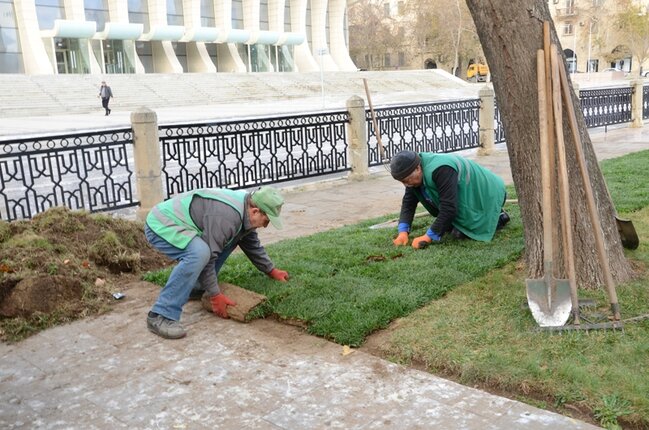Bakıda ümumşəhər sanitar günü keçirildi