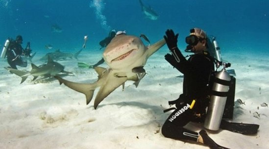 İnternet tarixinin ən komik FOTOLARI