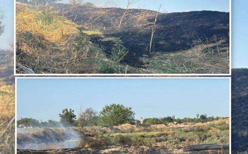 Ağdamda əkin sahəsində yanğın törətməkdə şübhəli bilinən şəxs saxlanılıb