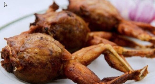 Qurbağa əti yemək günahdır? – İlahiyyatçıdan AÇIQLAMA