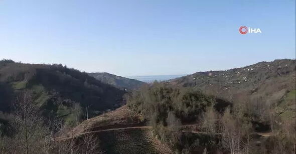 Təqaüdçü ağacın gövdəsində tikdiyi ikimərtəbəli evlə mühəndisləri heyrətə gətirdi - FOTO/VİDEO