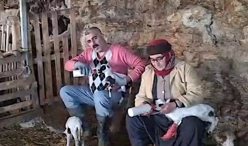 Hobbi olaraq başladıqları işə 4 qoyub, altı ildə 600 aldılar - VİDEO