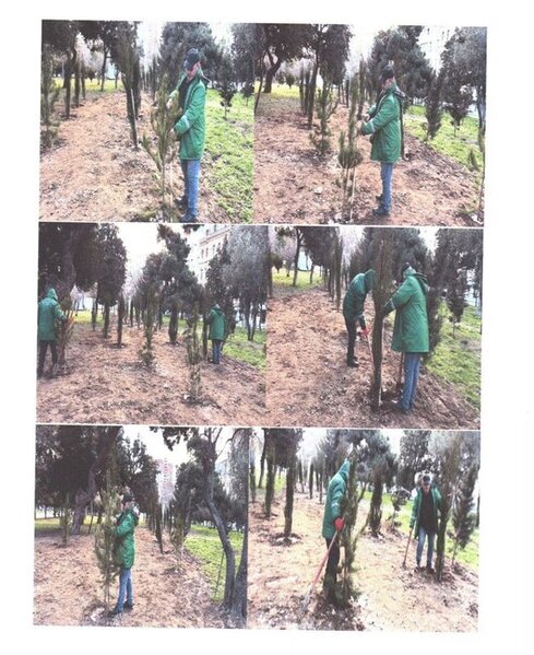 "Zorge" parkının içindən yol salınıb? - Fotolar