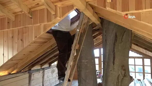 Təqaüdçü ağacın gövdəsində tikdiyi ikimərtəbəli evlə mühəndisləri heyrətə gətirdi - FOTO/VİDEO