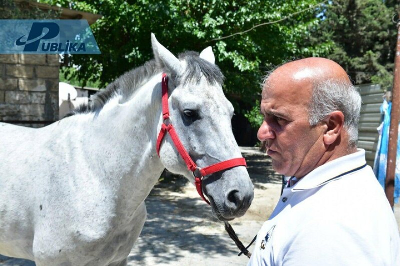 Qarabağ atlarını erməni vandalizmindən xilas edən usta: At qeyrət, namus rəmzi idi, indi isə…