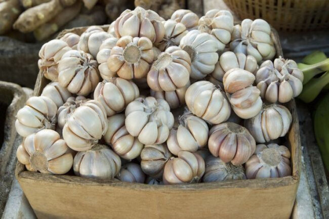 Sarımsağın gələn yayadək xarab olmadan saxlanması üçün SADƏ SİRR