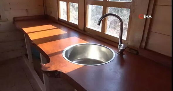 Təqaüdçü ağacın gövdəsində tikdiyi ikimərtəbəli evlə mühəndisləri heyrətə gətirdi - FOTO/VİDEO