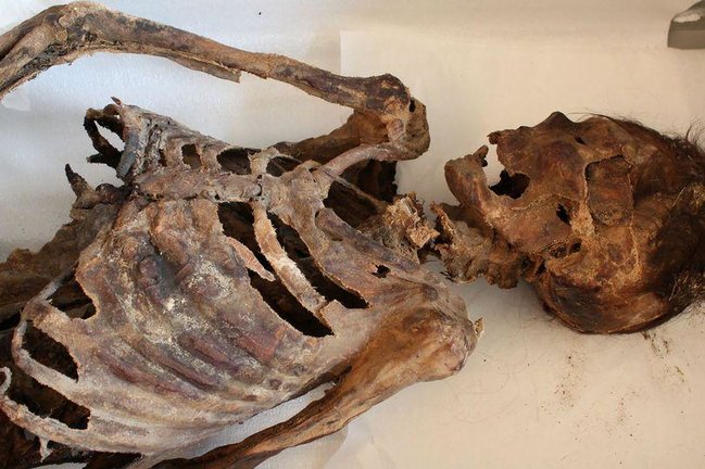 1100 il əvvələ aid qadın cəsədi tapıldı - Ayağında "Adidas" ayaqqabısı var - FOTOLAR