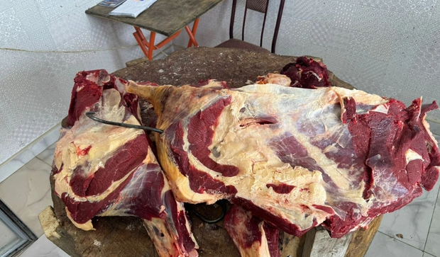 "Ölmüş heyvanların, yeyilməyən atın, eşşəyin kəsilib Bakıya daşınması davam edir" - Eyyub Hüseynovdan TƏNQİD