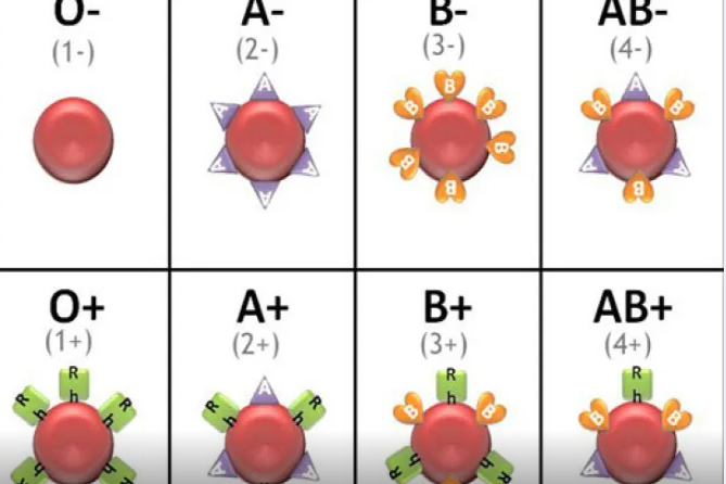 Bu qan qrupundan olanlar daha uzun yaşayır