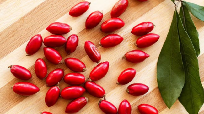 Bu meyvədən bir dəfə dişləyən bibər də yesə bal dadı alır