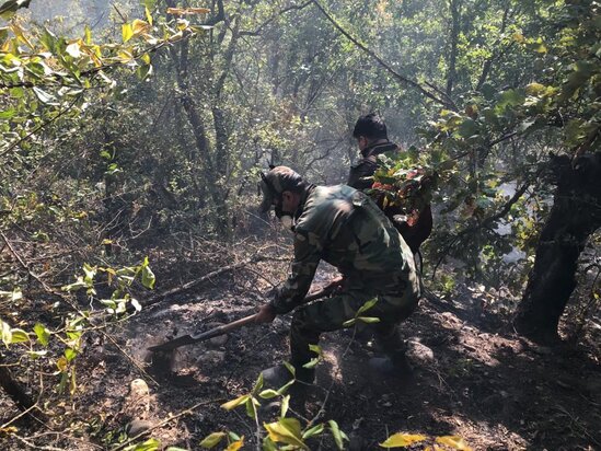 Meşə yanğınları turizmə nə qədər ziyan vurub? - AÇIQLAMA