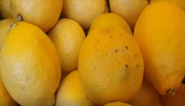 Limonları necə düzgün seçmək olar?