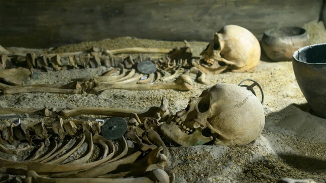 Tarixi dəyişə biləcək yeni kəşf: Skeletlərdə hamiləlik testi