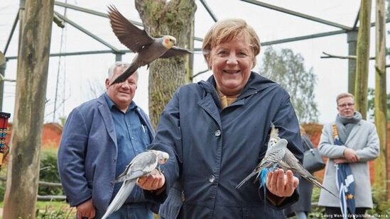 Merkel parkda quşları bəsləyərkən tutuquşunun "hücumuna" məruz qaldı - FOTO