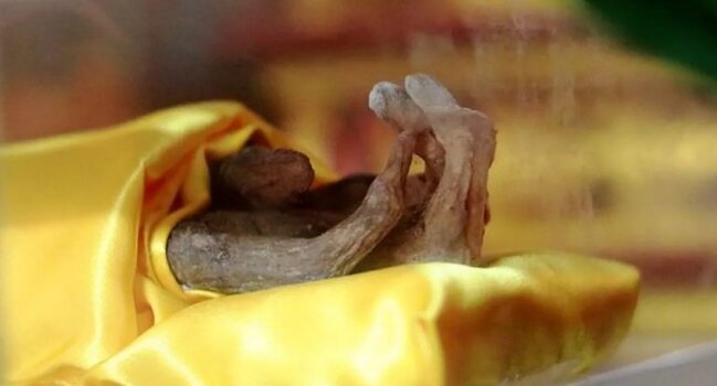 46 il əvvəl Buddaya qurban olaraq kəsilən əl çürüməyib