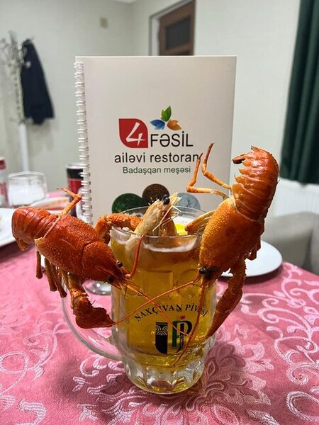 "4 FƏSİL" RESTORANI - Ailəvi istirahət üçün İDEAL MƏKAN - FOTO