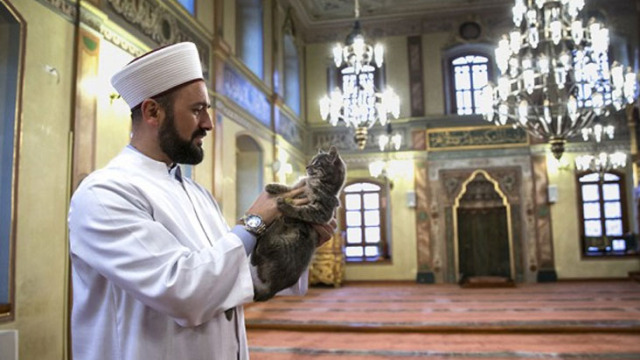 Tanınmış imam Məkkədə saxlanıldı! SƏBƏBİ... - FOTO+VİDEO