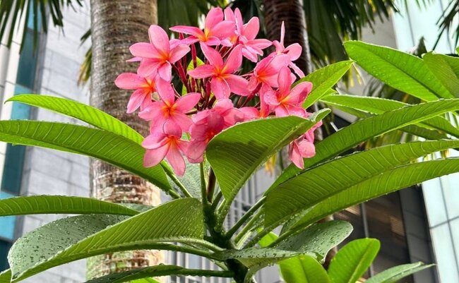 Bayram günlərində hava necə olacaq?