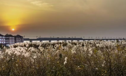İki saat sükan arxasında: Dünyanın ən uzun körpüsü harada yerləşir?