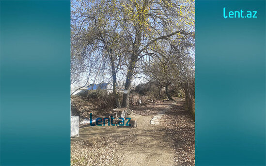 Çarın qorxulu yuxusu, sultanı devirmək istəyən kürdəmirli baş nazir - TARİX