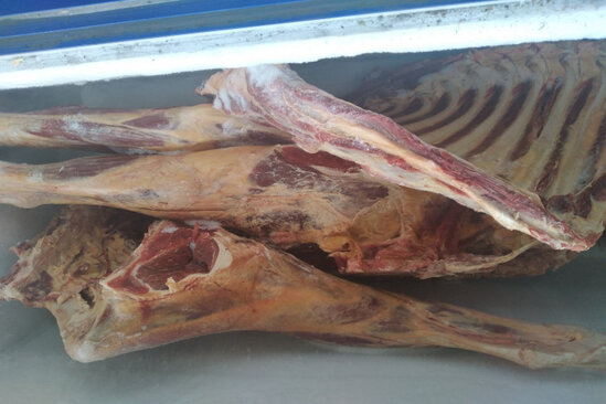 Azərbaycanda iylənmiş ət satılır