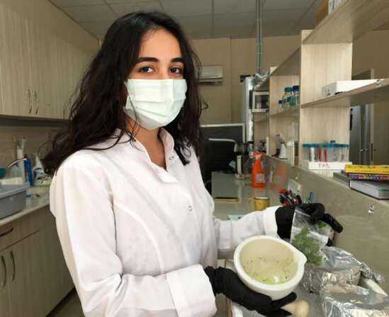 Azərbaycanlı alimin hazırladığı COVID-19 peyvəndinin sınaqlarına başlanılacaq - FOTO