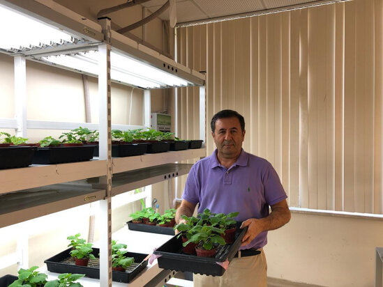 Azərbaycanlı alimin hazırladığı COVID-19 peyvəndinin sınaqlarına başlanılacaq - FOTO