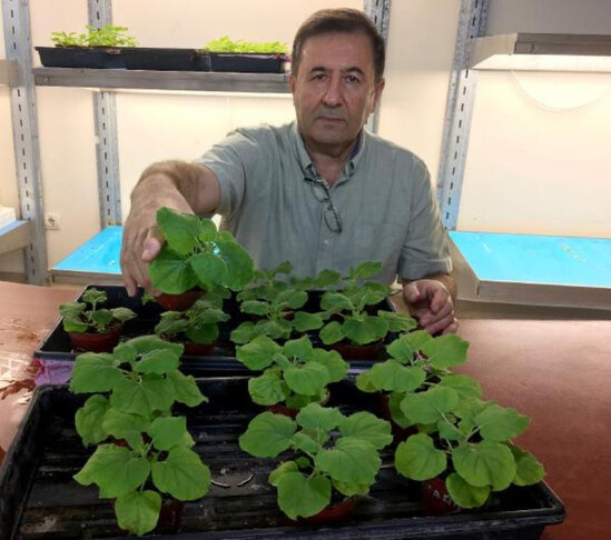 Azərbaycanlı alimin hazırladığı COVID-19 peyvəndinin sınaqlarına başlanılacaq - FOTO