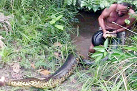 Müəllim anakonda tutdu: Həmin gün dostunun... - FOTO