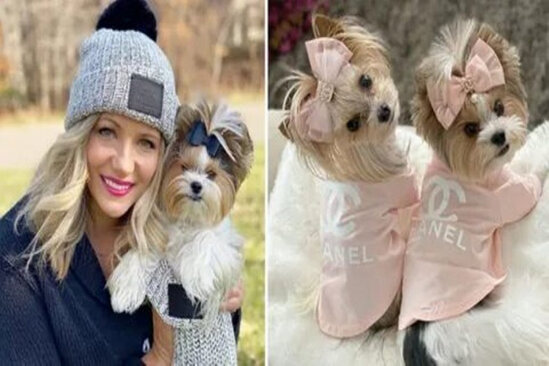 İtləri üçün paltar və zinət əşyalarına 40 min dollar xərclədi