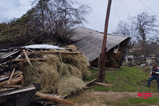 Lerikdə torpaq sürüşməsi: Ev, tövlə, mal-qara torpaq altında qaldı - FOTO